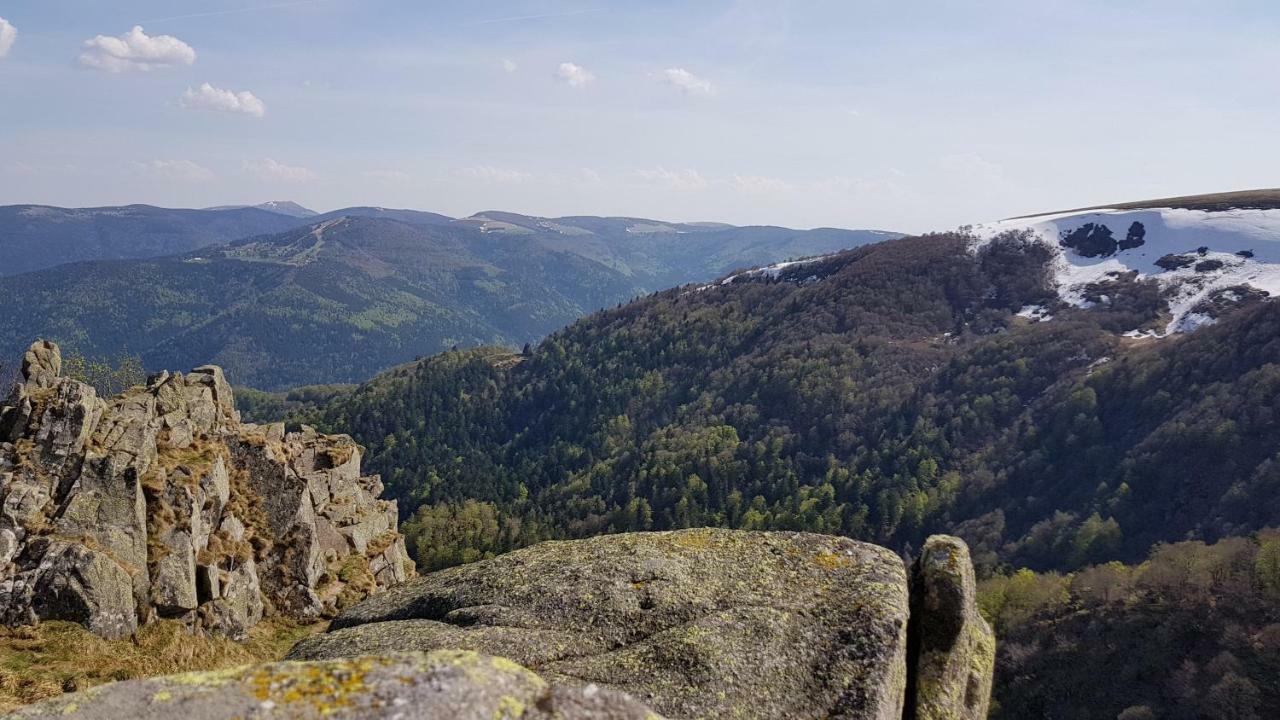 les dryades Gérardmer Extérieur photo