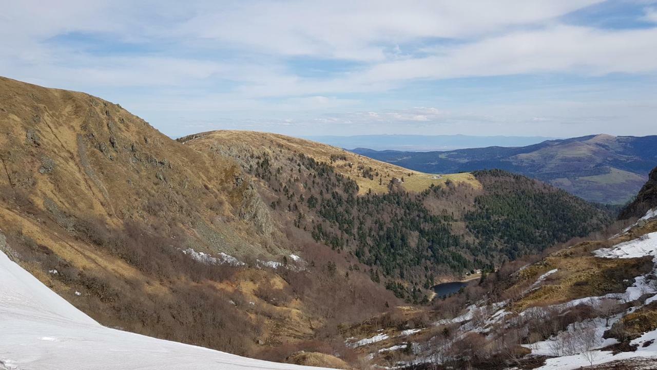 les dryades Gérardmer Extérieur photo