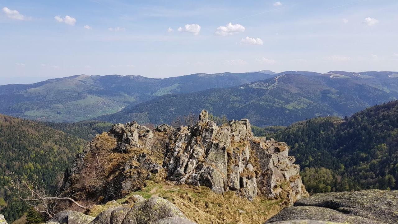 les dryades Gérardmer Extérieur photo